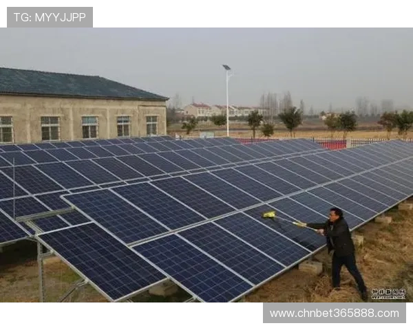 bet365 在线体育投注如何利用实时数据做出精准投注决策