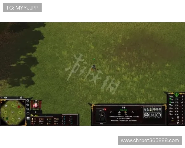 全面解析918下注的操作流程与最新优惠攻略推荐